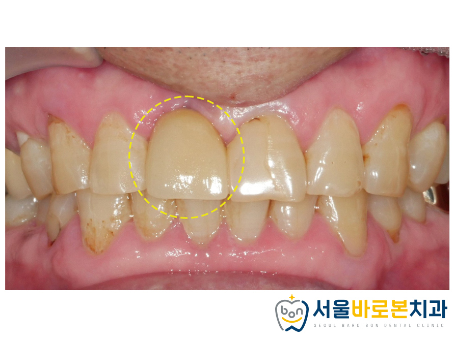 금광동치과
